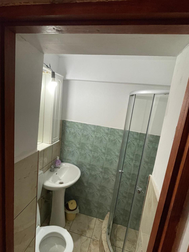 Bathroom 3, Vila Movila, Azuga