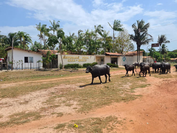 Others, Hospedagem e queijaria Peua, Soure