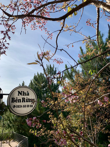 Others 1, Nha ben rung, Lạc Dương