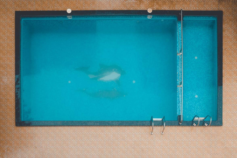 Bathroom, Anant Villa and Resort, Raigarh