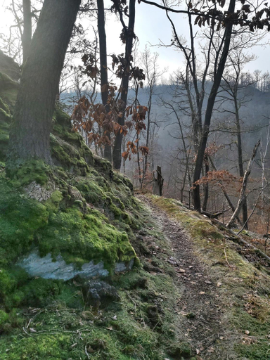 Sports and activities 4, BodeBude, Harz