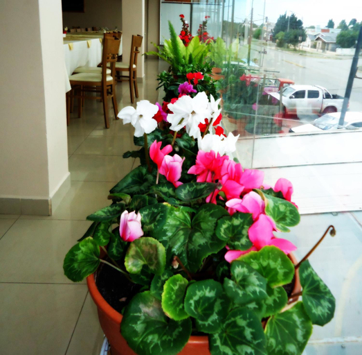 Food & Drinks 2, Hotel Liporaci, Güer Aike