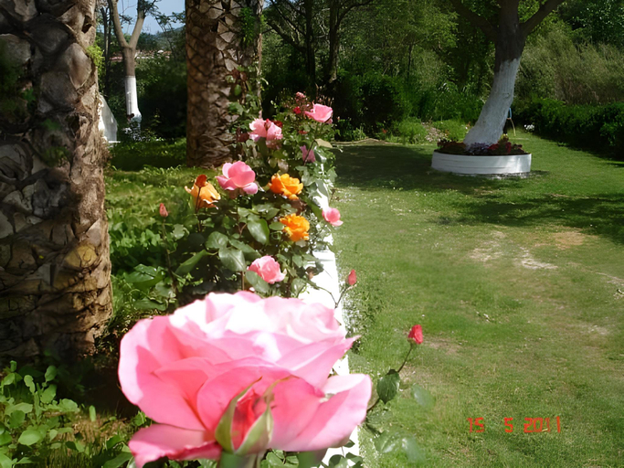 Others 5, Family Studios, Ionian Islands