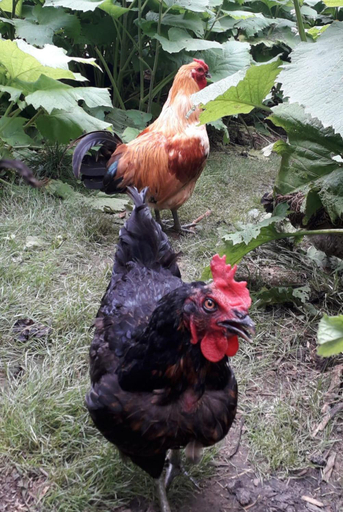 Others 5, Doly4, Šumperk