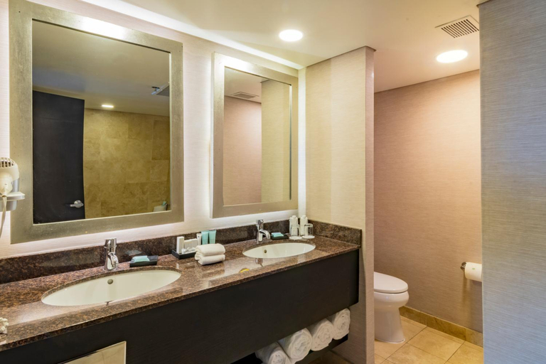 Bathroom 5, Hotel Lucerna Hermosillo, Hermosillo