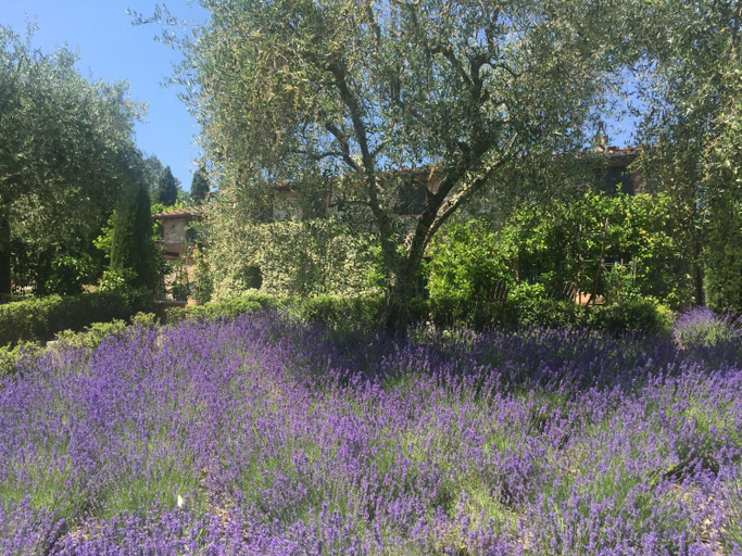 Exterior view 5, Macennere by Salogi Villas, Lucca