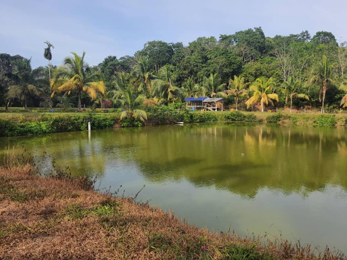 Others 3, Tmn Rekreasi Cikgu Haron, Segamat