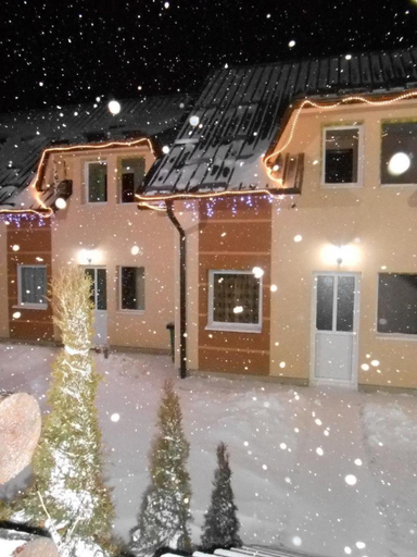 Exterior view 4, Villa Snow Queen Kopaonik, Raška