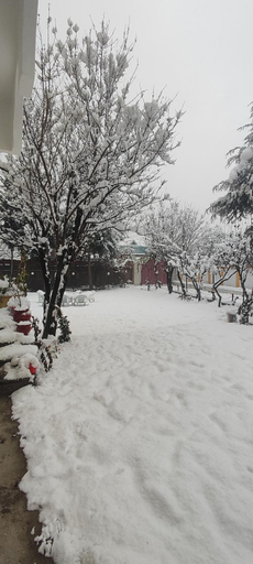 Others 3, THE CLOVER INN, Srinagar