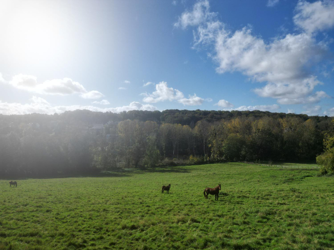 Others 3, Le Manoir du Cerf, Yvelines