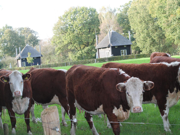 Others 2, Countryside Barn Retreat, Wierden