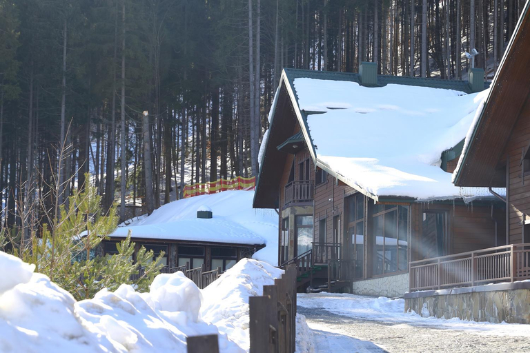 Exterior & Views 3, Shale Anemona, Nadvirnians'kyi
