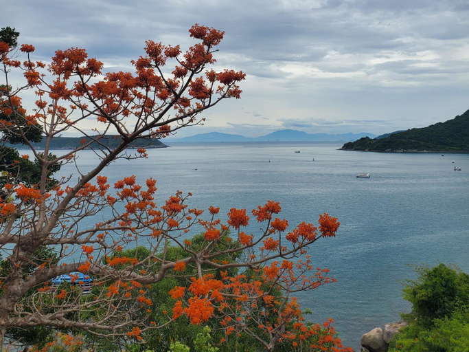 Others 3, Tuan Thanh Homestay, Da Nang
