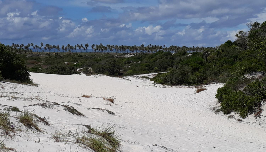 Surrounding environment 5, Recanto Verde, Mata de São João