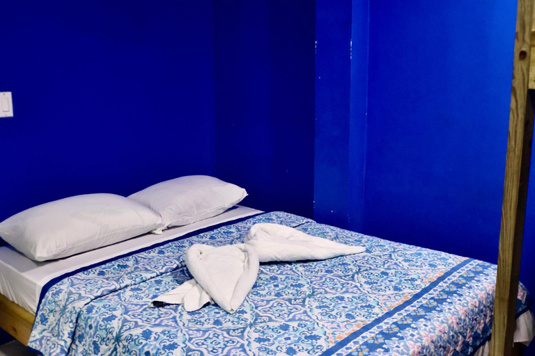 Others 4, Dreamer's Hostel, Bocas del Toro
