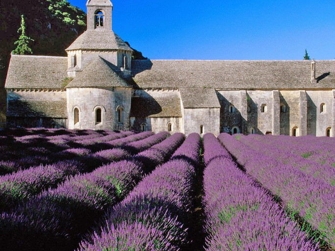 Exterior & Views 2, Villa in Provence with Infinity Pool, Haute-Garonne