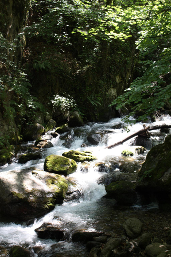 Others 5, Compostela, Haute-Loire