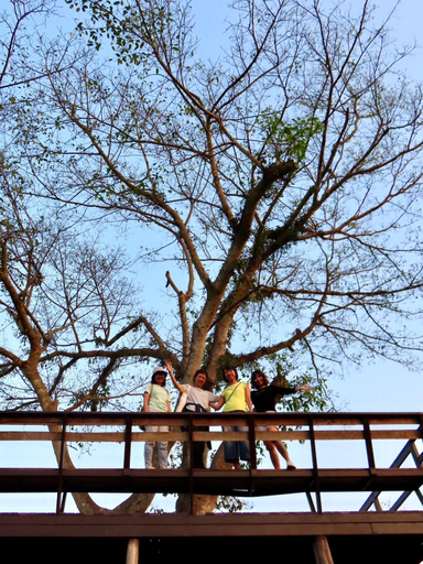Others 5, Teak@Teak, Kaeng Khoi