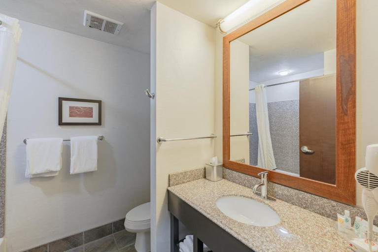 Bathroom 4, Comfort Suites Perrysburg - Toledo South, Wood