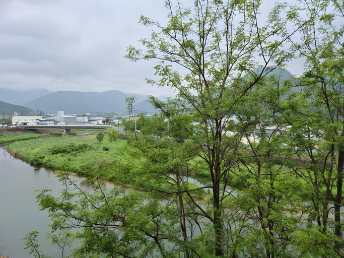 Others 4, Gyeongsan Annex Pension, Gyeongsan