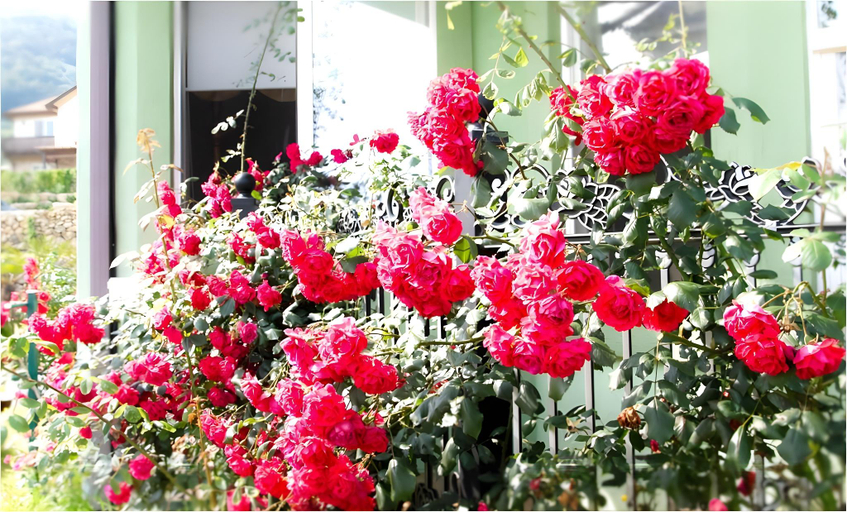 Others 3, namhe everose pension, Namhae