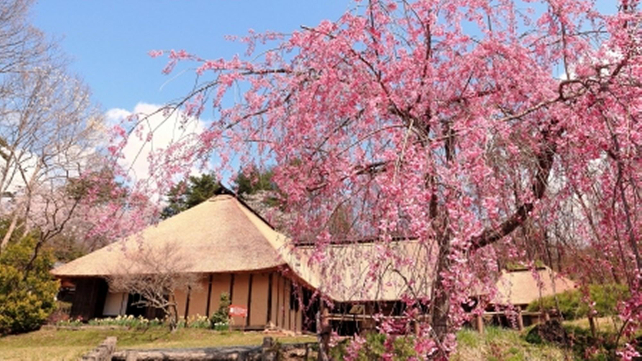 3, Guesthouse Hikobae, Kitakami