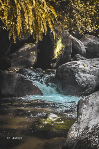 Others 2, Cave N Falls Nature Resort & Water Park , Yatiyanthota