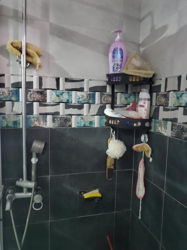 Bathroom 4, Alice Gardens and Campsite, Busiiro