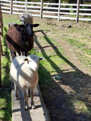 Others 3, Rekreacni stredisko ROJANA, Žďár nad Sázavou