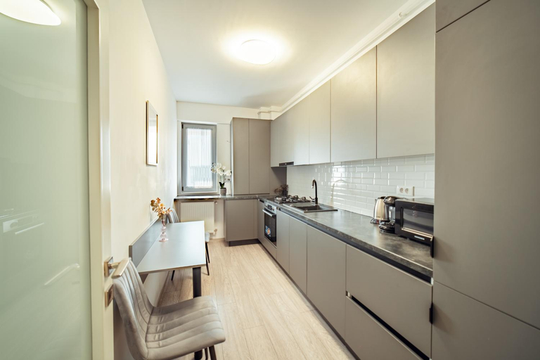 Others 5, Cozy Luxury Studios Pallas Mall Iasi, Iasi