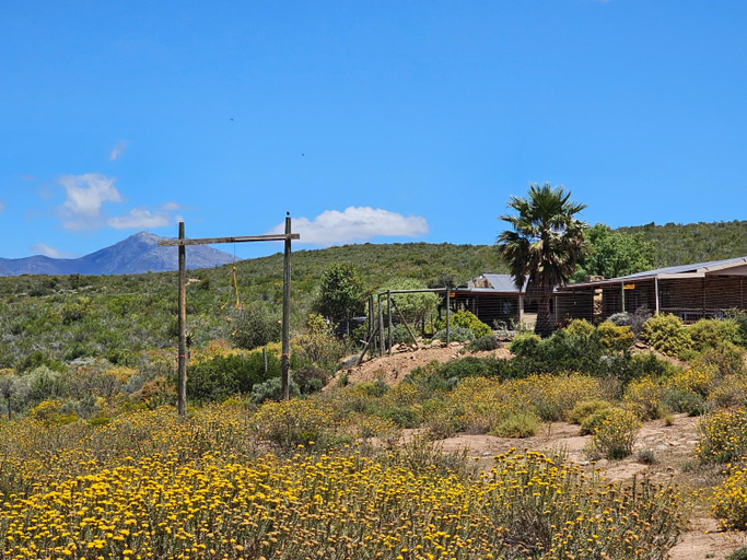 Others 2, Phumelela Private Game Farm, Cape Winelands