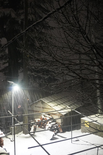 Others 5, Jamming Tree, Kullu