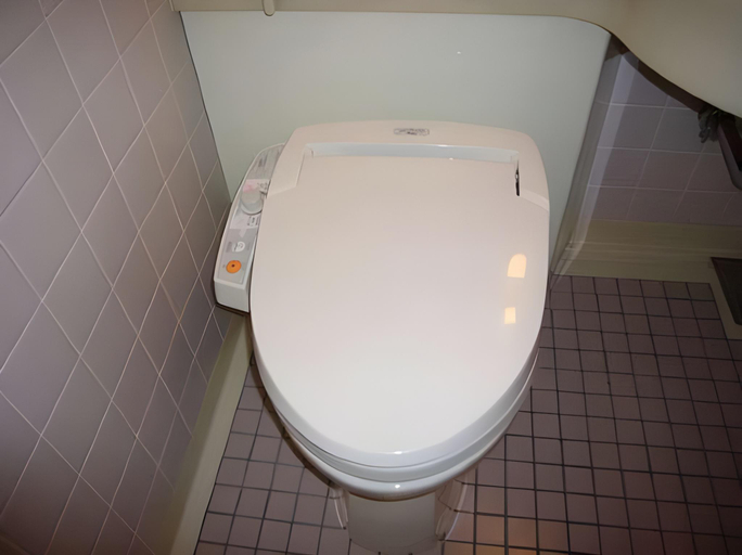 Bathroom 5, Hotel Kiraku, Chiba