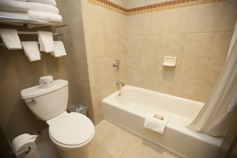 Bathroom 4, Great Wolf Lodge - Niagara Falls, Niagara