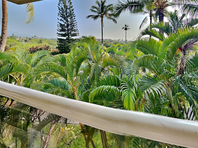 3, Maui Banyan T-305, Maui