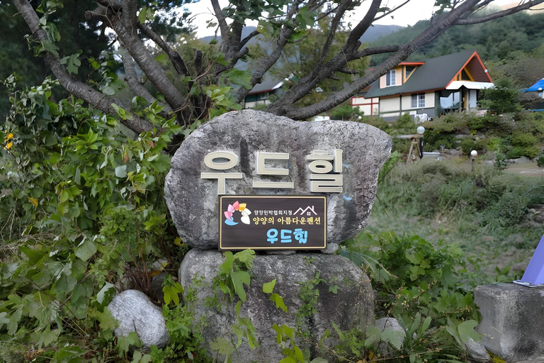Others 5, Woodhill Pension, Yangyang