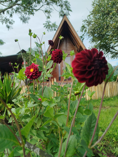 Others 5, Kintamani Adventure 'Hide Away In Kintamani, Bangli