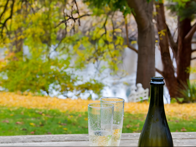 Food & Drinks, The Shingles Riverside Cottages, Derwent Valley