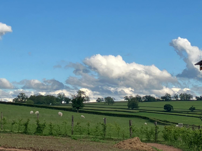 View 3, Les Fromentaux, Saône-et-Loire