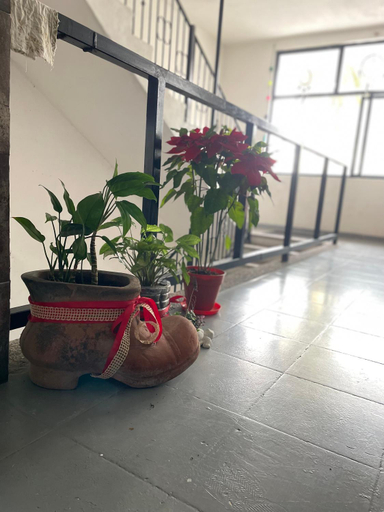 Others 4, Vive Alegria Hostel, Puerto Vallarta