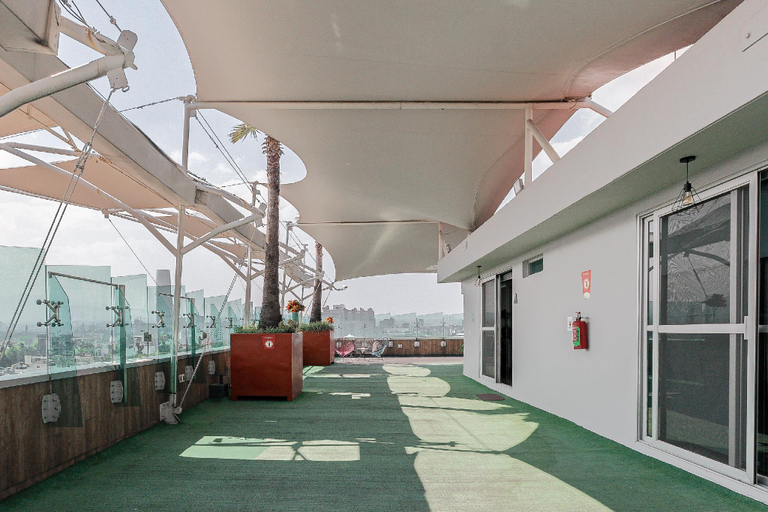 Others 2, Mr. Herold Homes, Mexico City
