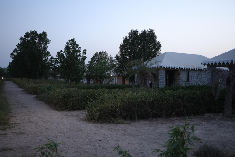 Others 2, Jawai Bera Leopard Camp, Pali