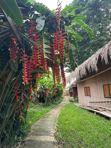 Others 5, Luong Son Homestay, Cao Bằng