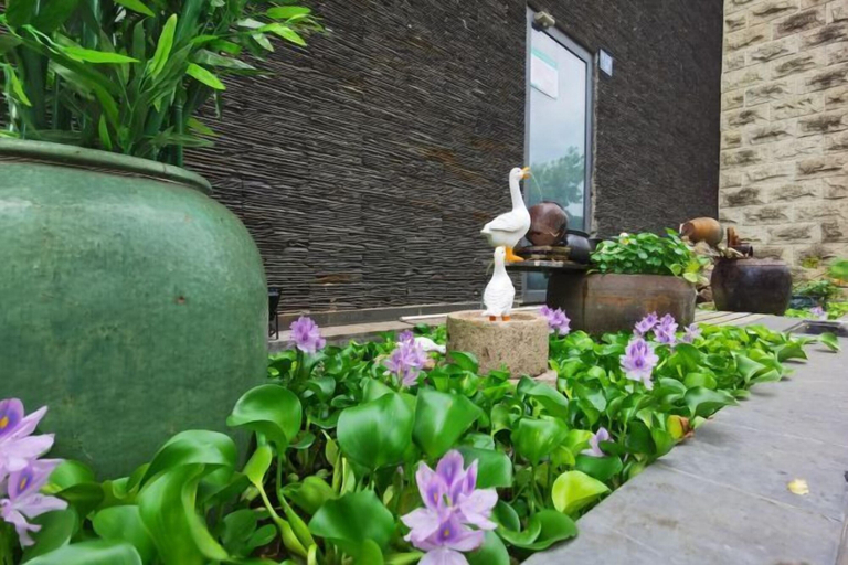 Exterior & Views 1, Bonilyi Hotel (Ningbo Beilun Yintai City ), Ningbo