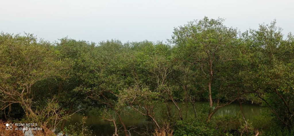 Others 5, NARAYANALAYAM-Vintage Retreat-Homestay & Rest'Inn, Kannur