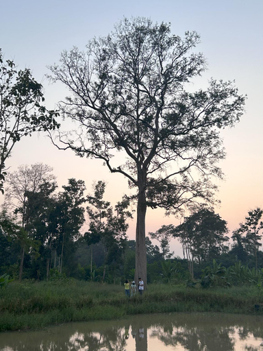 Others 5, Teak@Teak, Kaeng Khoi