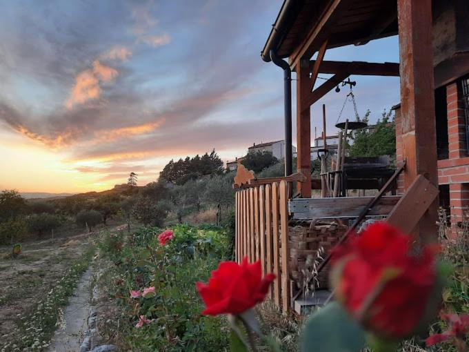 Others 4, B&B Santo Stefano, Campobasso
