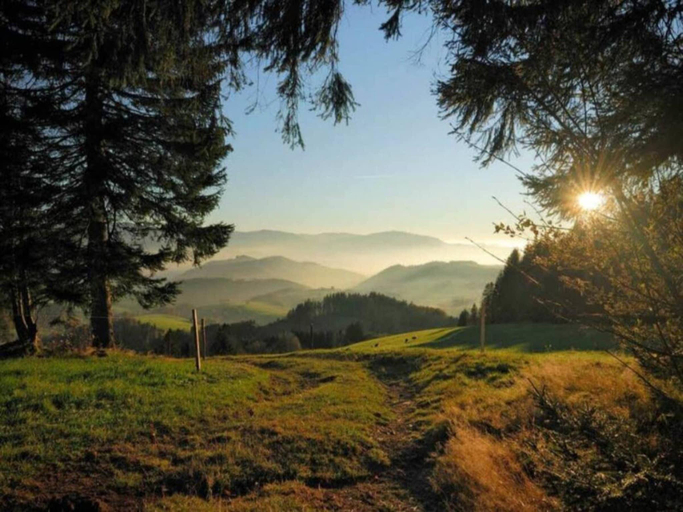 Others 5, Schwarzwald-Ferienwohnung auf dem Bauernhof, Ortenaukreis