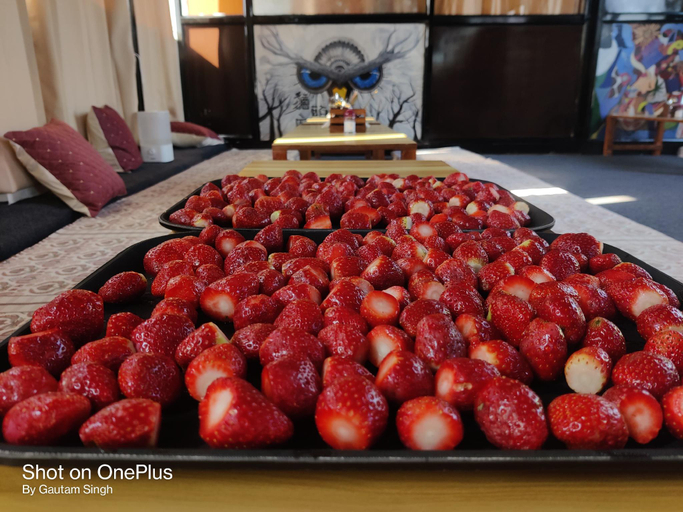 Food & Drinks 3, Kandari Homestay, Garhwal