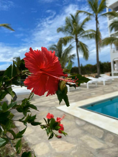 4, Avana Jayna Resort Watamu, Kilifi North